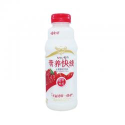 娃哈哈 营养快线 红枣枸杞味 500g/Joghurtgetränk m. Dattel und Wolfsbeerengeschmack