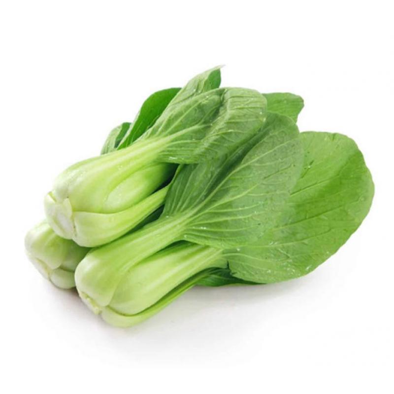 【München】上海青 Pakchoi 450-500g