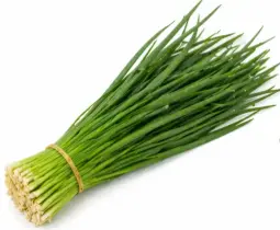 【München】韭菜 Frischer Knoblauch Schnittlauch 1 Bund